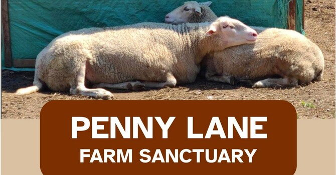 Penny Lane Farm Sanctuary image