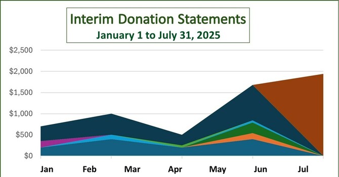 Interim Donation Statements image