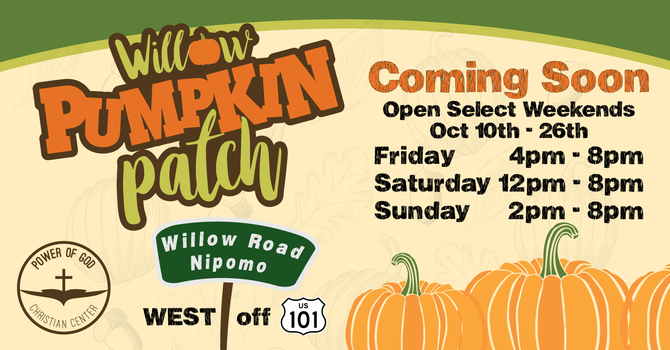 Willow Pumpkin Patch