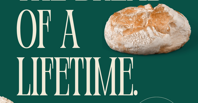 Daily Bread Devotionals