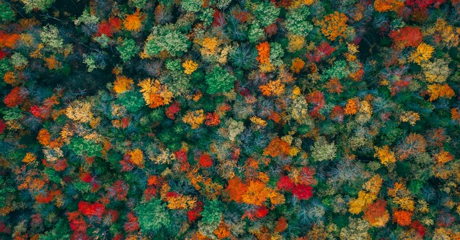 Embracing Life's Seasons: Finding Purpose in Every Moment image