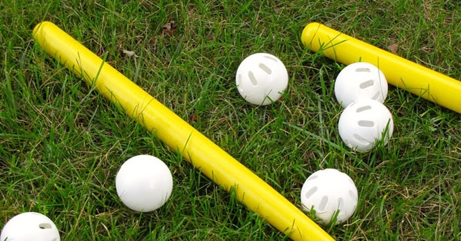 Family Wiffle Ball Night
