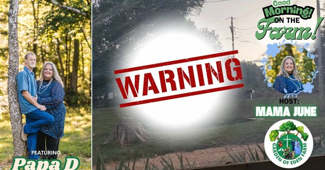 Warning! image