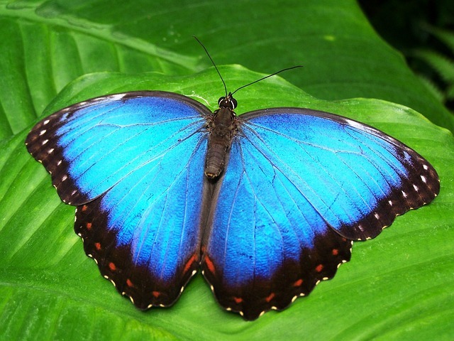 Slideshow image