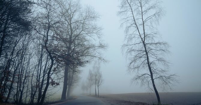 Journey Into the Unknown