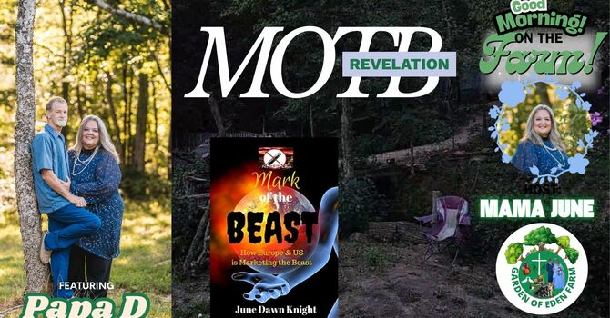  The Mark of the Beast Revelation - How God Revealed it to Me image