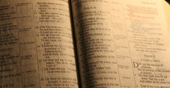 Bible Studies