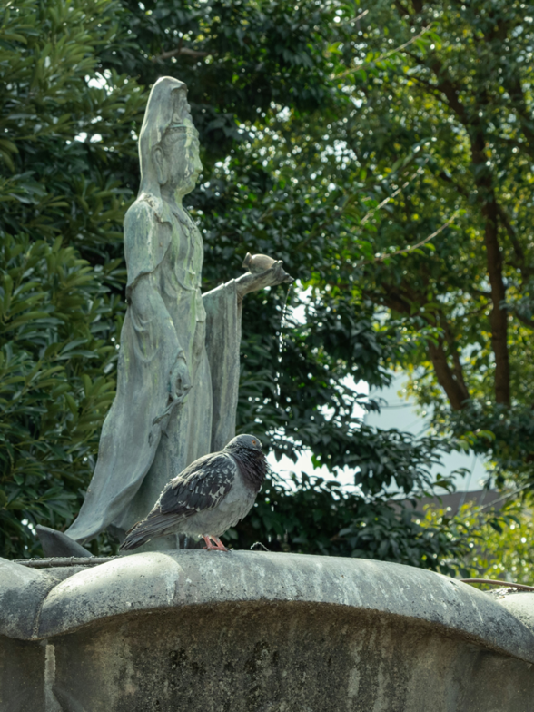 Slideshow image