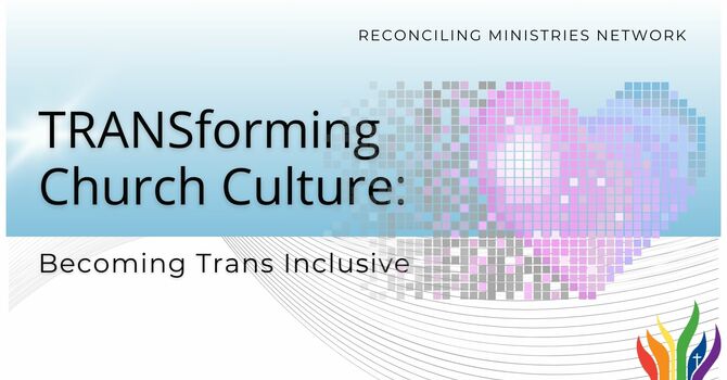 TRANS-Forming Church Culture Study