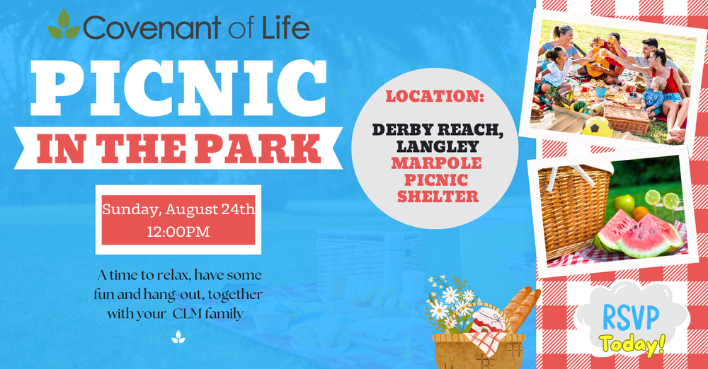 Picnic in the Park