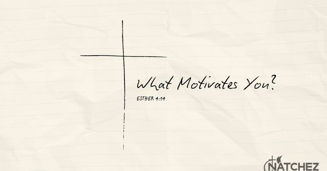 What Motivates You?