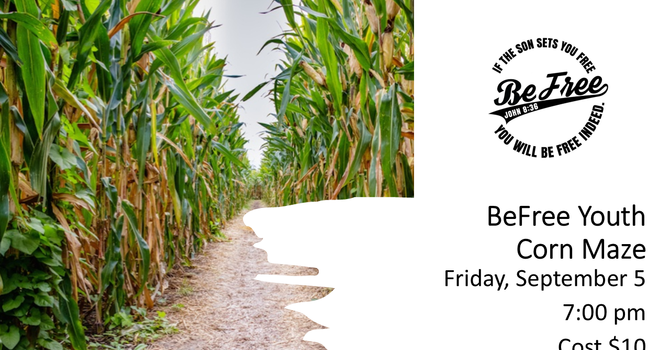 BeFree Youth Corn Maze