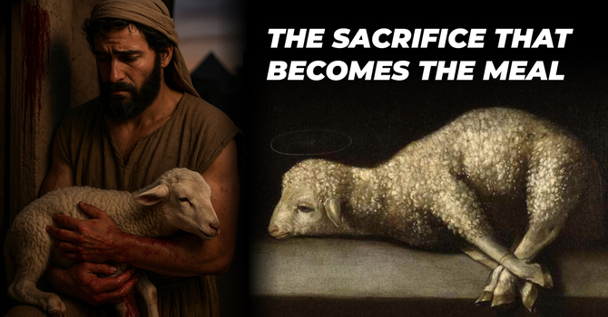 The Sacrifice That Becomes The Meal
