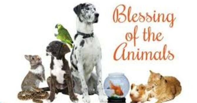 St. Francis of Assisi