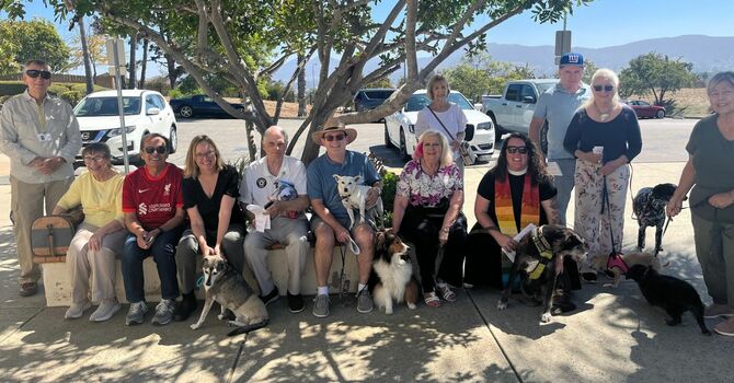 Blessing of the Animals