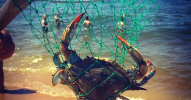 Youth Group Crabbing Trip
