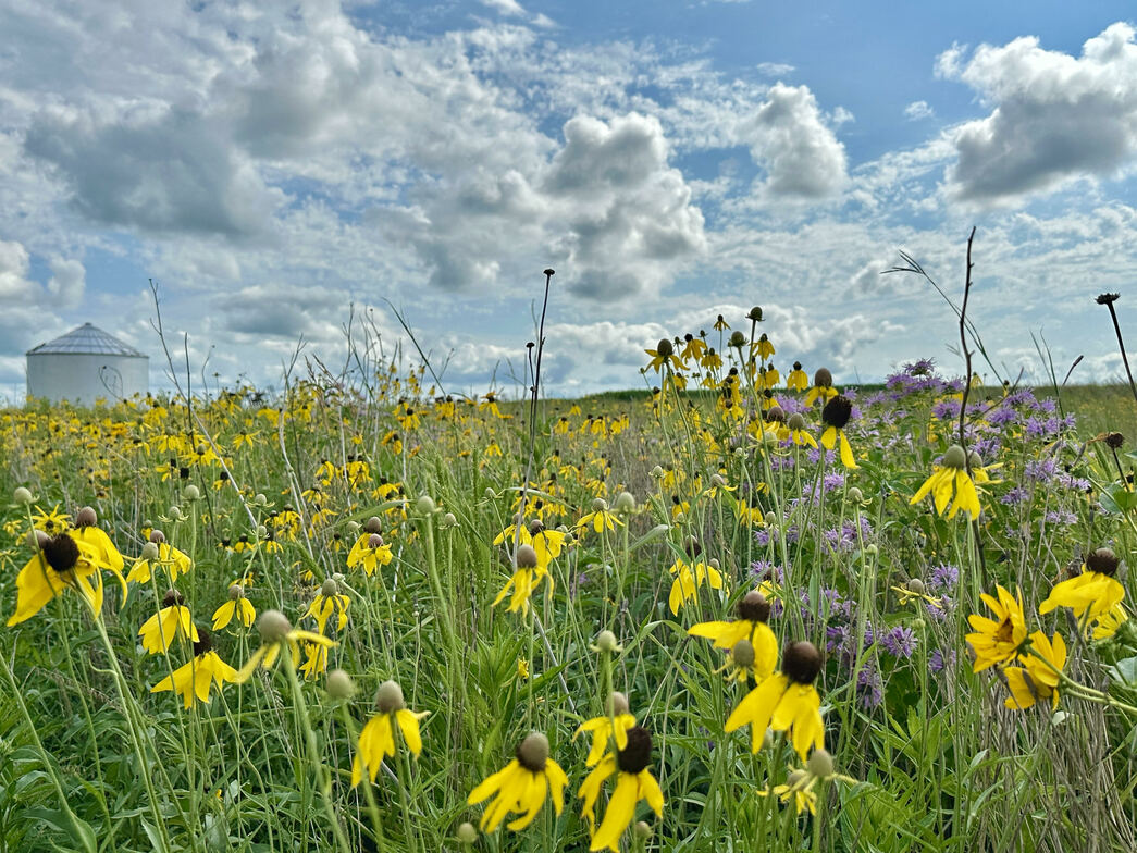 Slideshow image