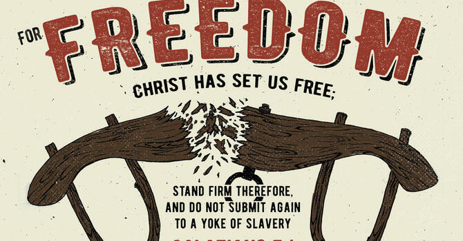 Freedom...to obey image