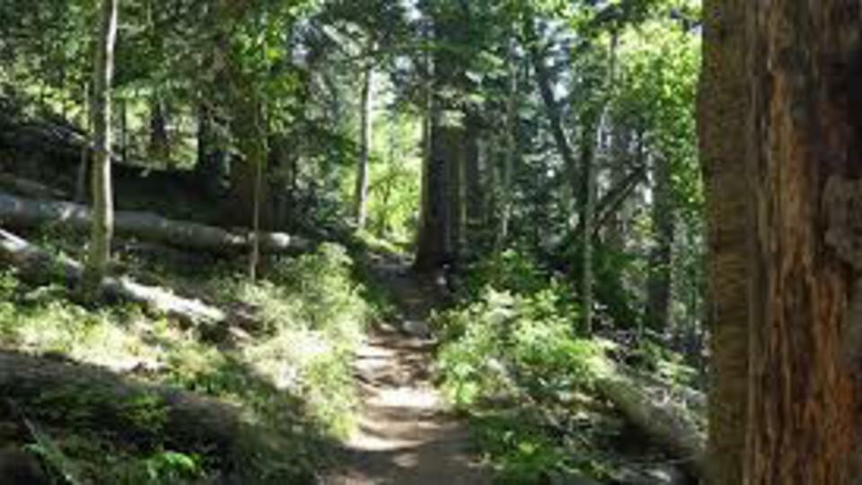Slideshow image