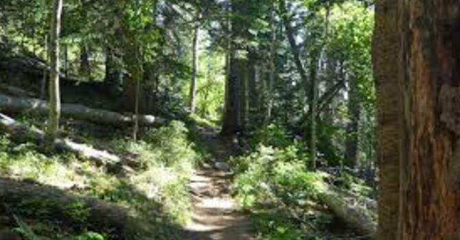 Unity Explorers 10K Trail Hike