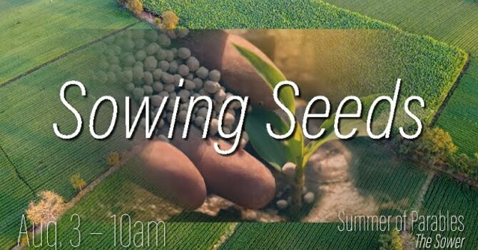 Sowing Seed