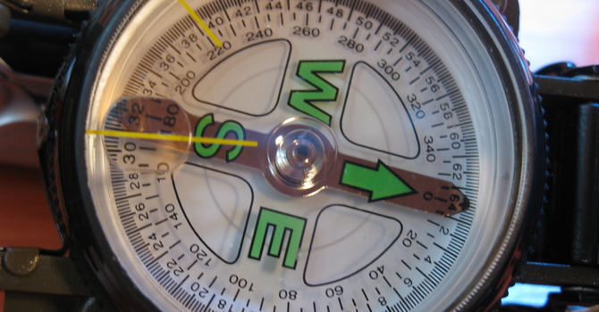 What to Do When You Are Expecting