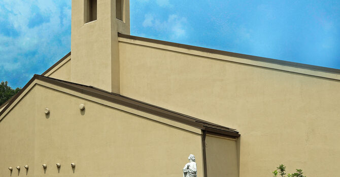 Aug 3 Bulletin image