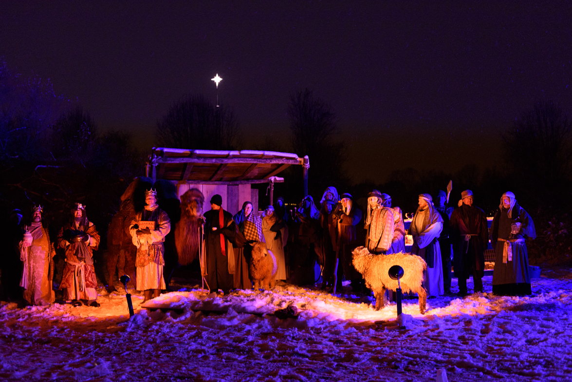 Slideshow image