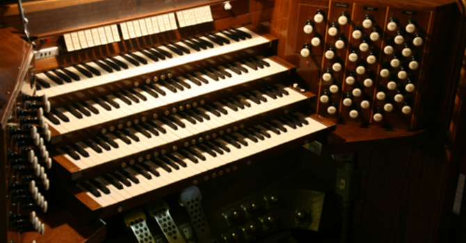 The Organ