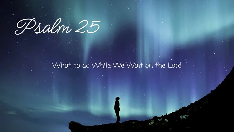 What To Do While We Wait On The Lord