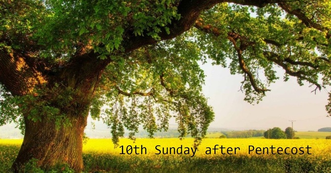 Sunday Worship 