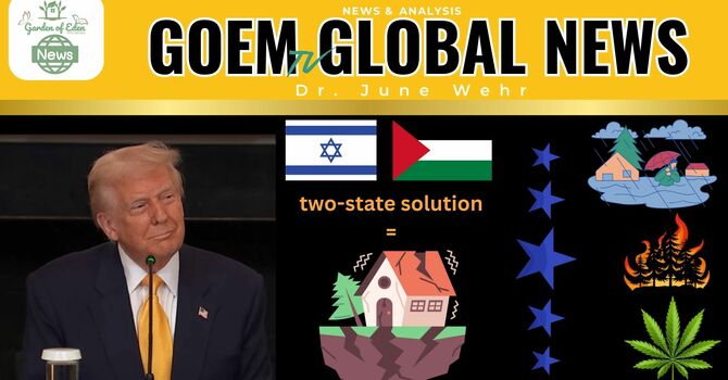 GLOBAL NEWS - New Madrid Fault Line, Two-State Solution & UN, Trump's Martial Law image