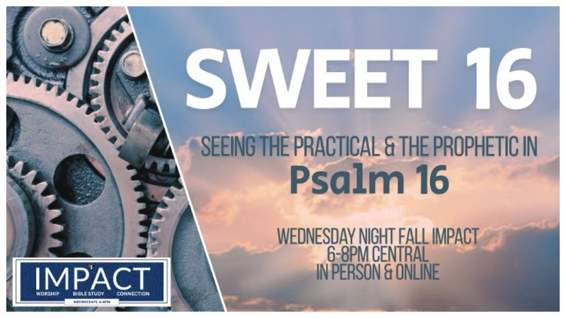 Introduction To Psalm 16