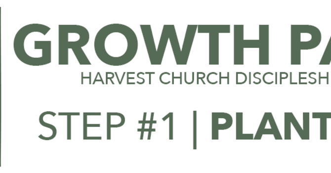 Step 1: Planted
