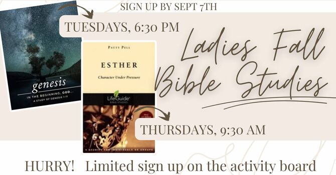 Ladies Fall Bible Studies