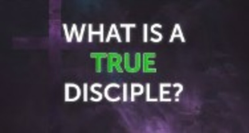 What is a True Disciple?