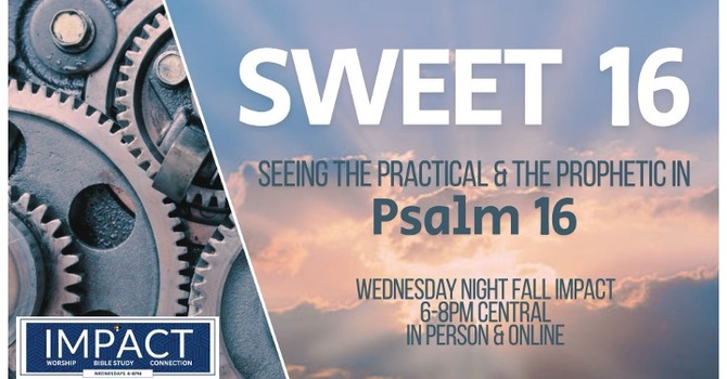 Introduction To Psalm 16