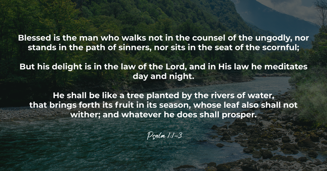 Psalm 1:1-3 image
