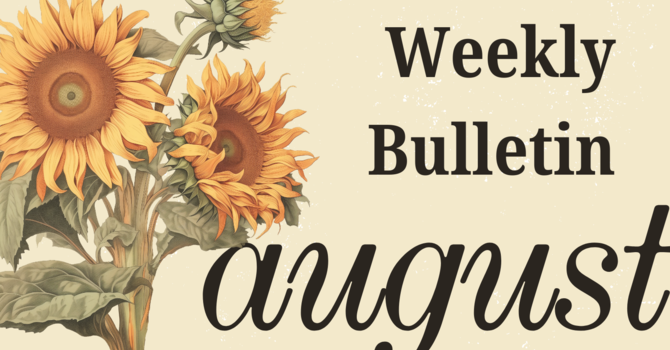 Bulletin | August 17, 2025 image