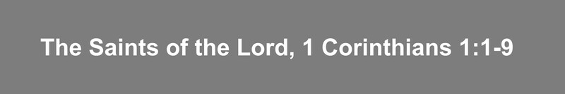 The Saints of the Lord