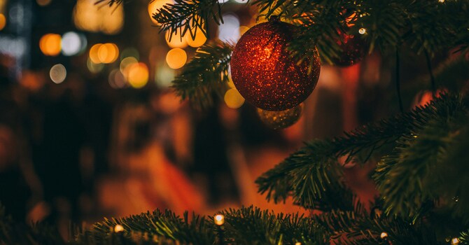 Light Up Christmas 
