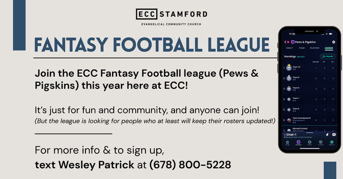 Fantasy Football League