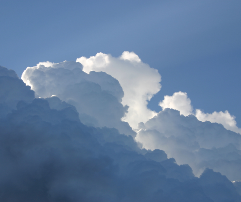 Cloud of Witnesses