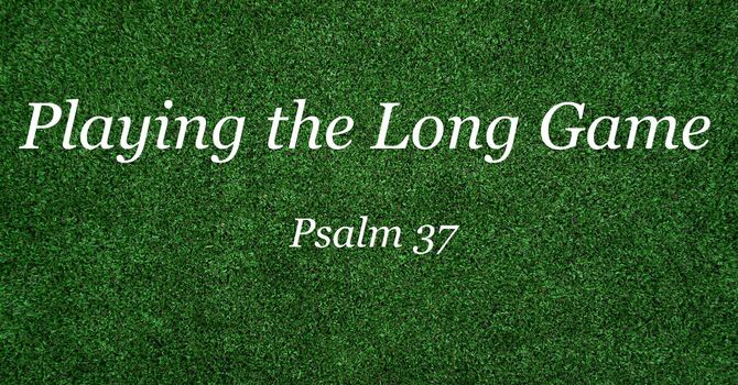 Playing the Long Game