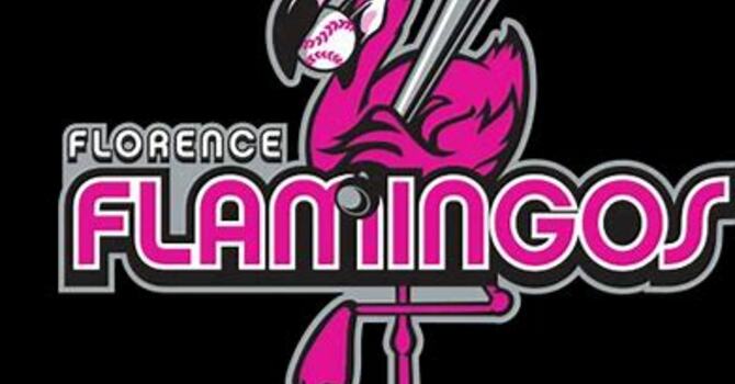 Flamingos Win!! image