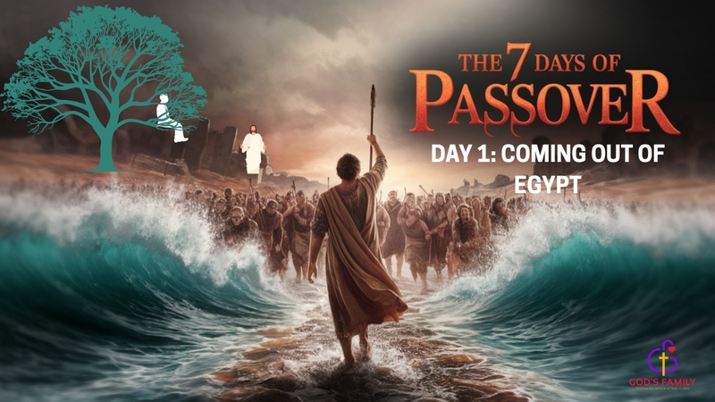 Day 1|Coming Out of Egypt| Zaccheus & The Personal Exodus
