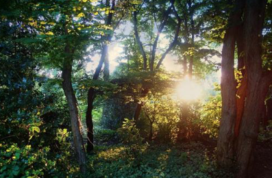 Slideshow image