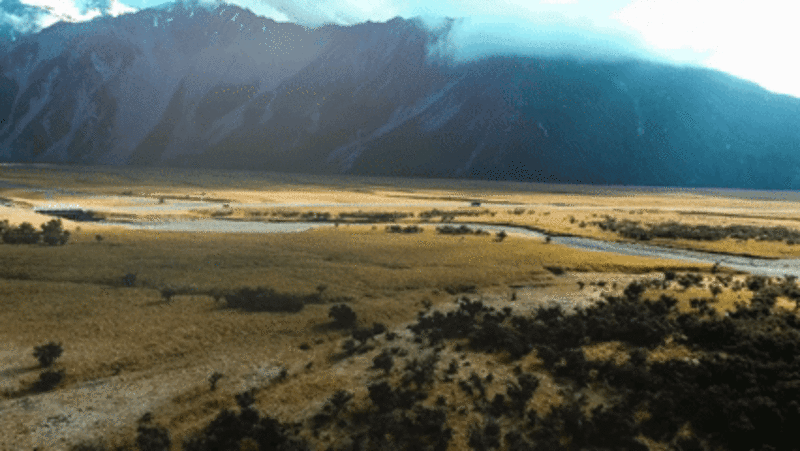 The Multitudes Follows Part 1