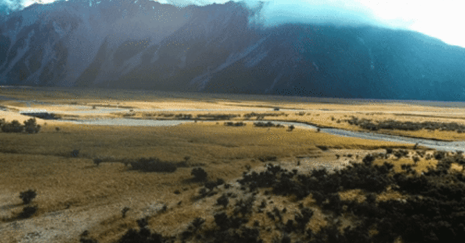 The Multitudes Follows Part 1