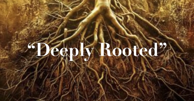 "Deeply Rooted" 